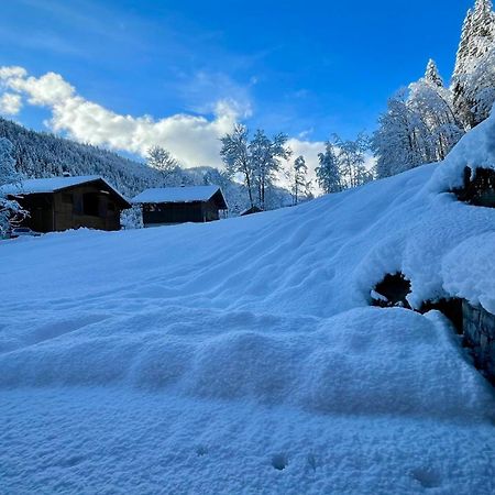 Chalet Birdie Ле-Гран-Борнан Экстерьер фото